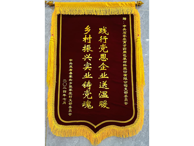 錦旗(張家莊支部委員會(huì))